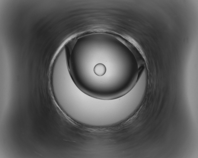 X0000087421384200705041259