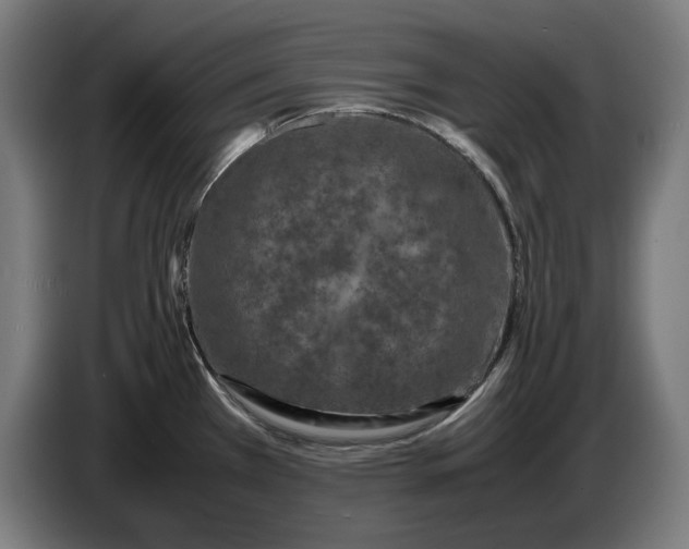 X0000087421385200705041259