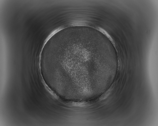 X0000087421386200705041259