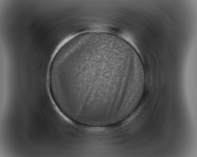 X0000087421387200705041259