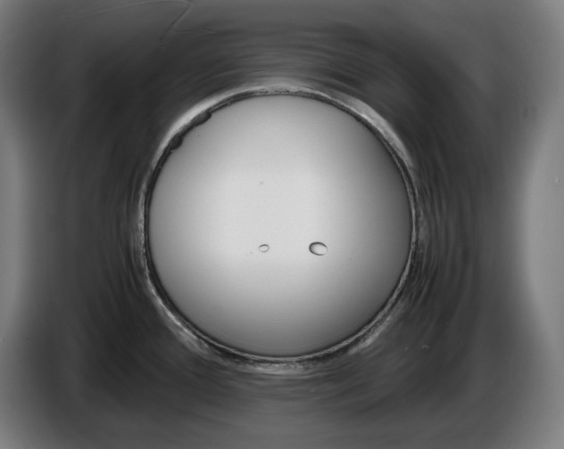 X0000087421388200705041259