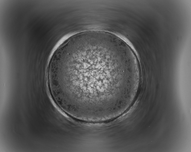 X0000087421389200705041259