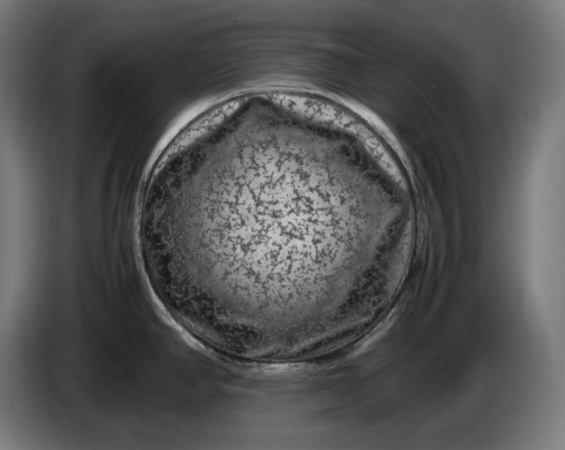 X0000087421390200705041259