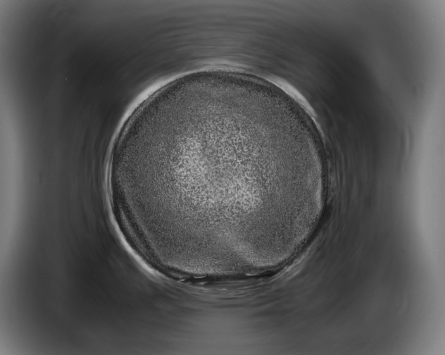 X0000087421391200705041259