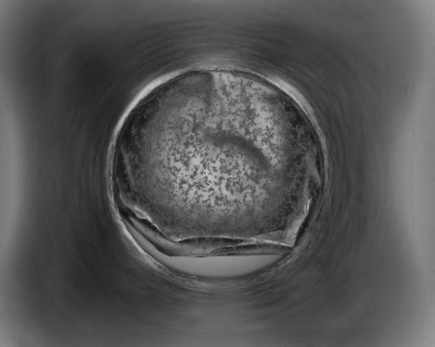 X0000087421392200705041259