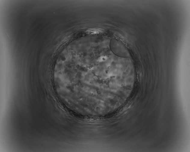 X0000087421393200705041258