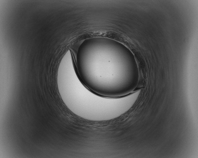 X0000087421394200705041258