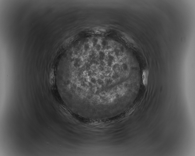 X0000087421395200705041258