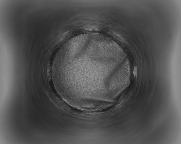 X0000087421396200705041258