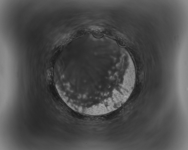 X0000087421397200705041258