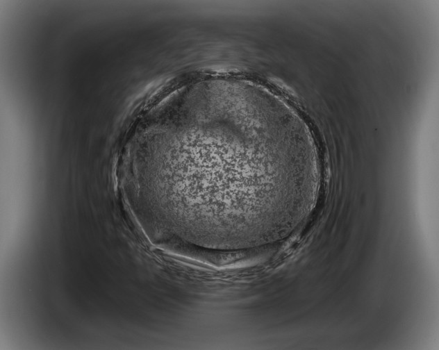 X0000087421398200705041258