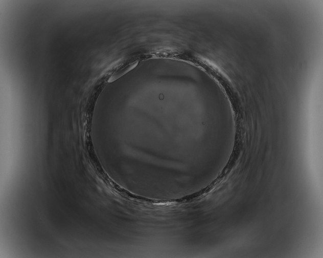 X0000087421399200705041258