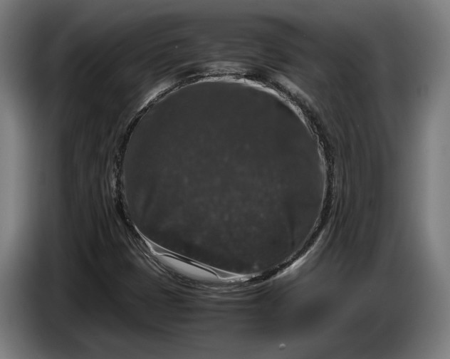 X0000087421401200705041258