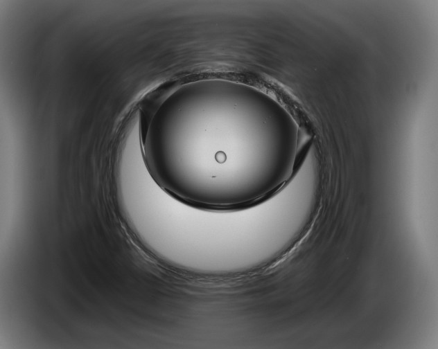 X0000087421402200705041258