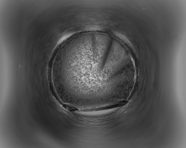 X0000087421404200705041258