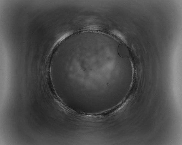 X0000087421405200705041258