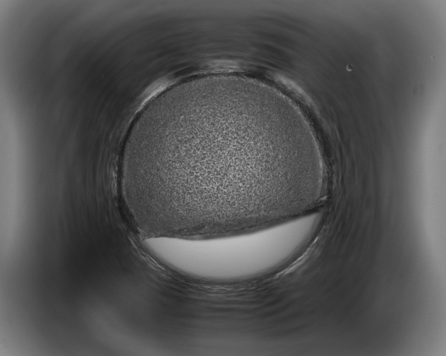 X0000087421409200705041258