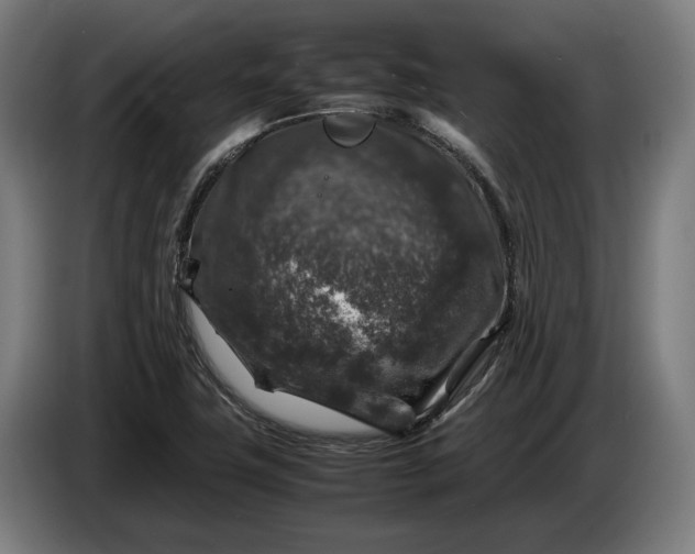 X0000087421411200705041258