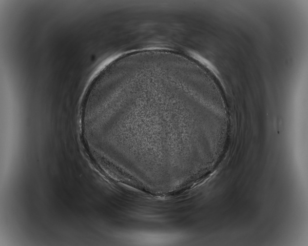 X0000087421415200705041259