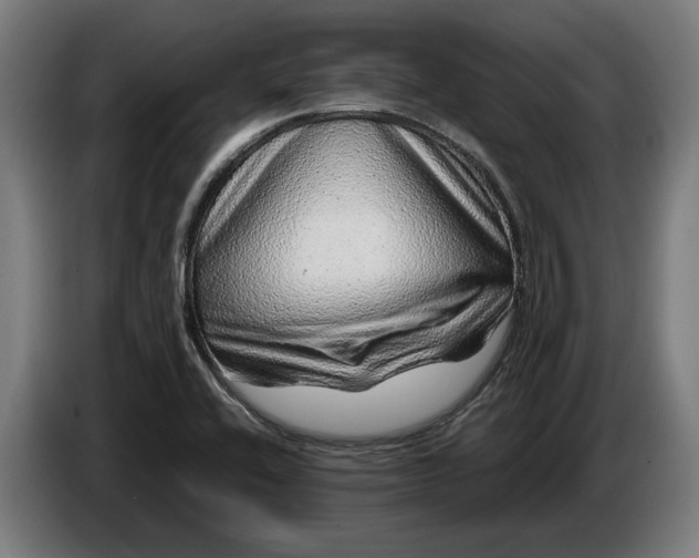 X0000087421416200705041259