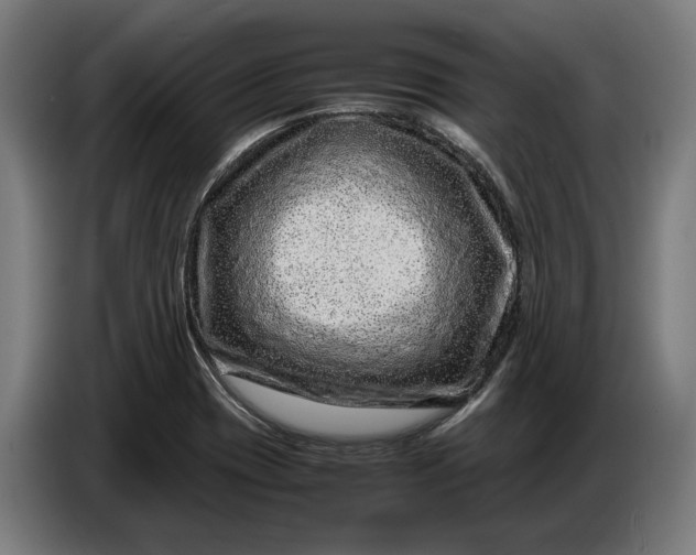 X0000087421417200705041259