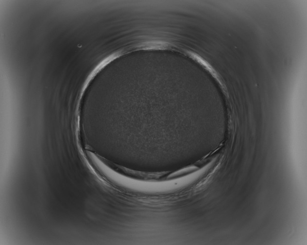 X0000087421418200705041259