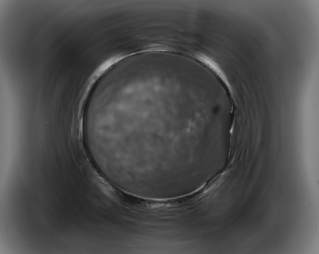 X0000087421419200705041259