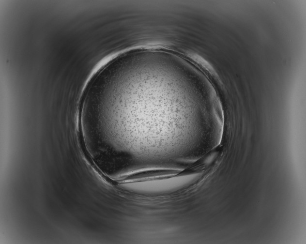 X0000087421420200705041259