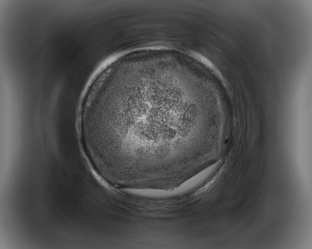 X0000087421421200705041259