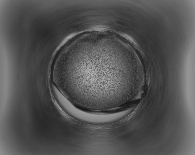 X0000087421422200705041259