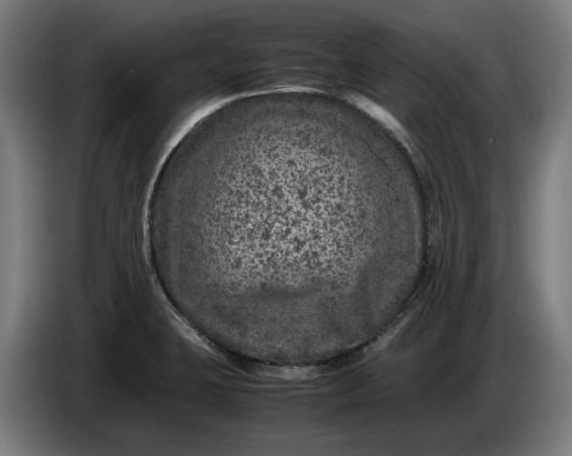 X0000087421423200705041259