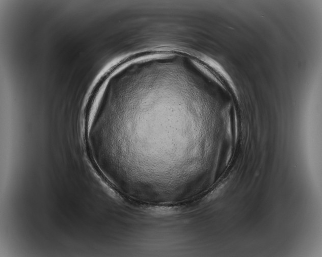 X0000087421424200705041259