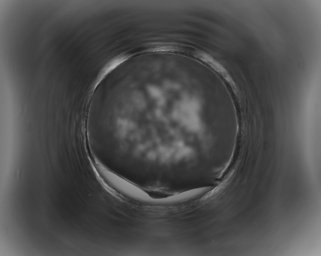 X0000087421425200705041259