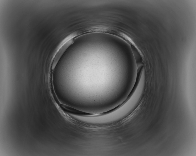 X0000087421426200705041259