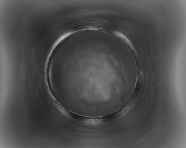 X0000087421427200705041259