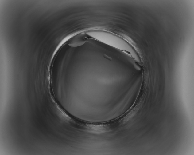 X0000087421428200705041259