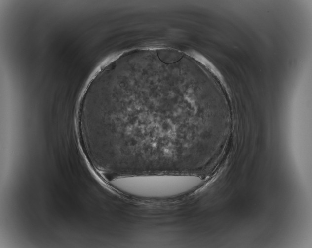 X0000087421429200705041259