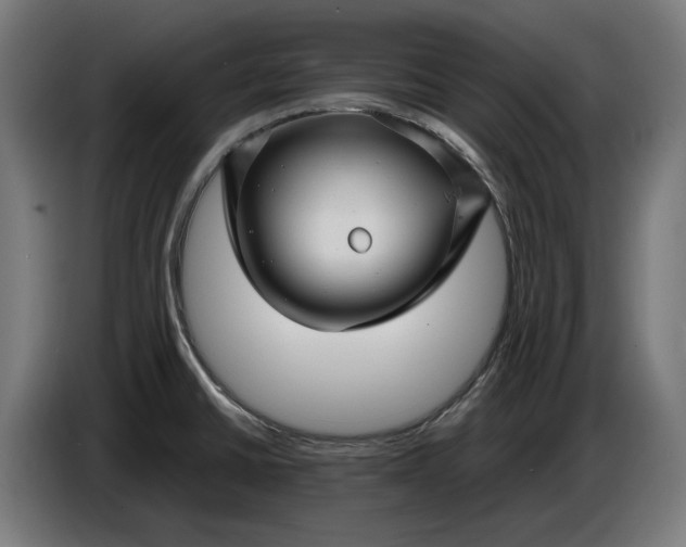 X0000087421430200705041259