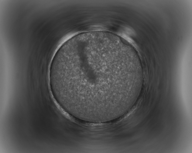 X0000087421431200705041259