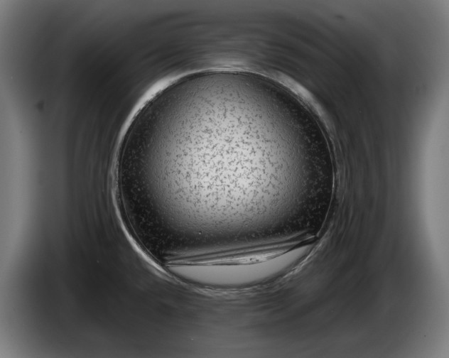 X0000087421432200705041259