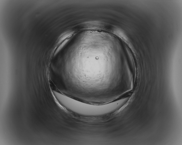 X0000087421433200705041259