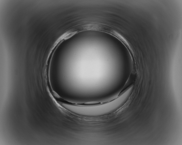 X0000087421434200705041259