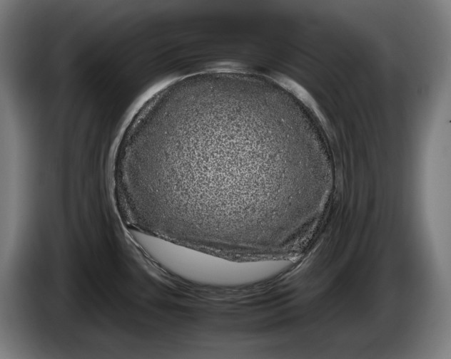 X0000087421435200705041259