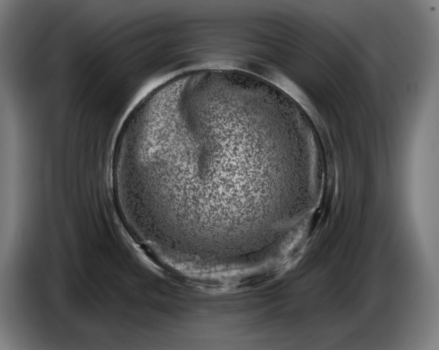 X0000087421436200705041259