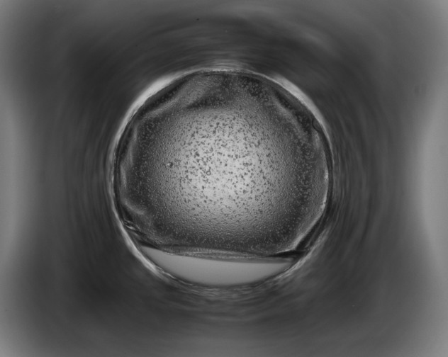 X0000087421437200705041259