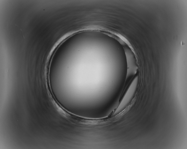 X0000087421438200705041259