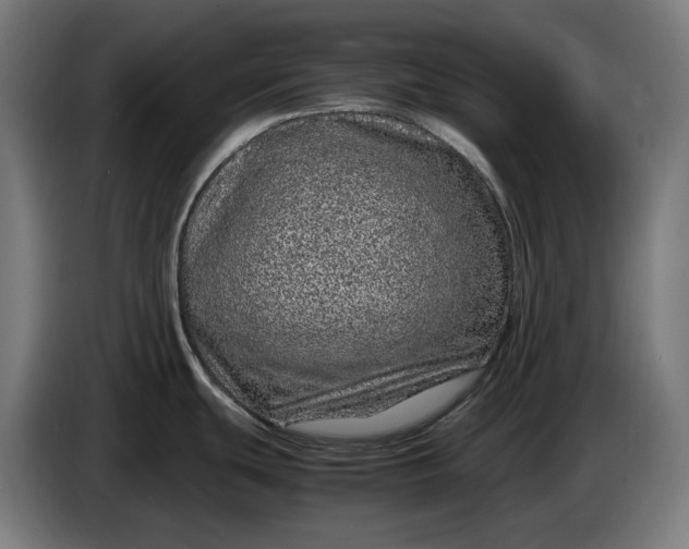 X0000087421439200705041259