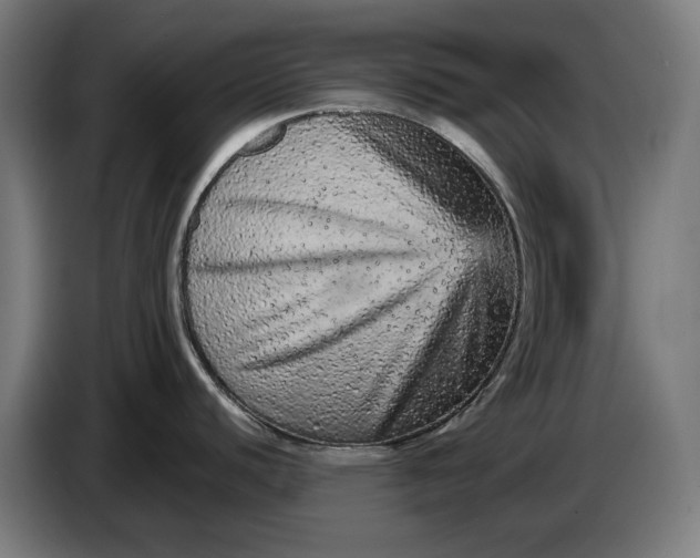 X0000087421440200705041259