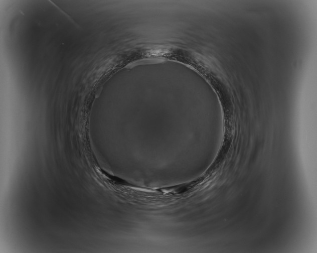 X0000087421441200705041258