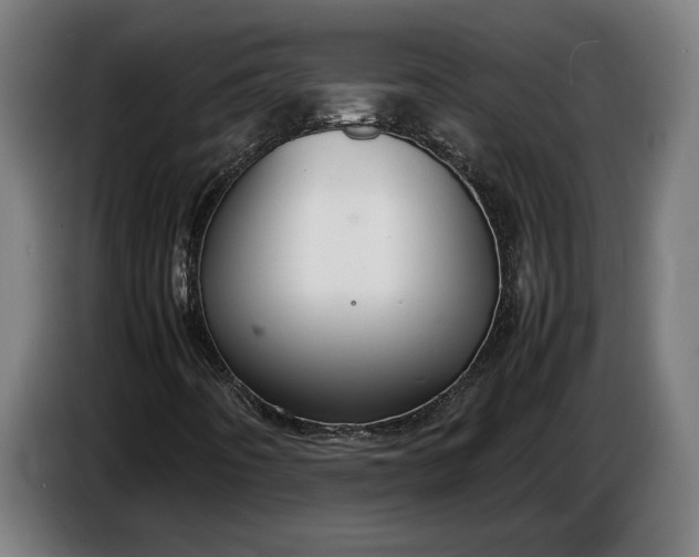 X0000087421442200705041258